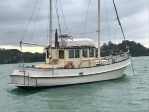 1968 CAREY
